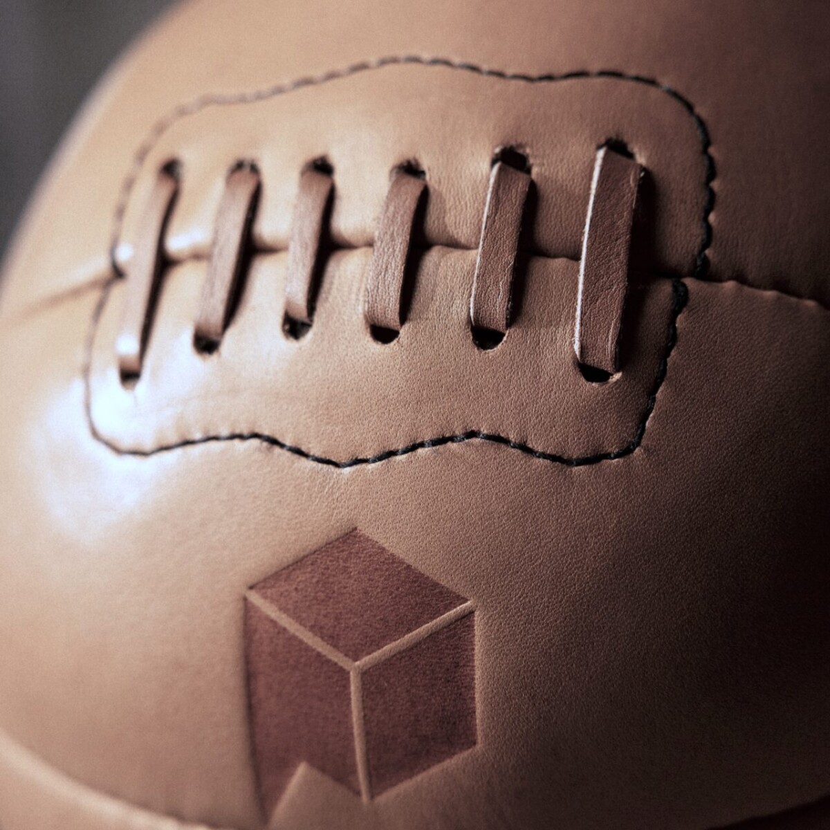 Classic Leather Medicine Balls